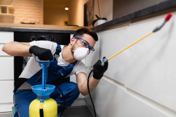 Best Flea Control Services  in Brookhaven, MS
