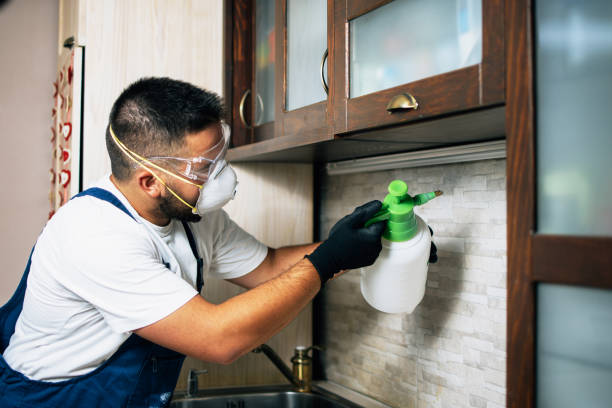 Professional Pest Control in Brookhaven, MS
