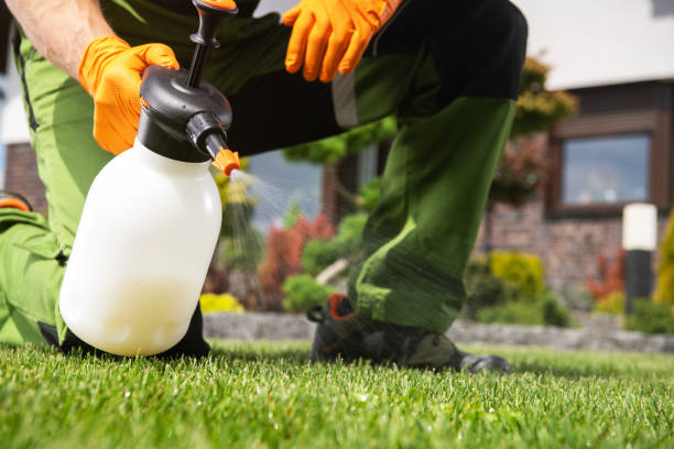 Best Rat Extermination Near Me  in Brookhaven, MS