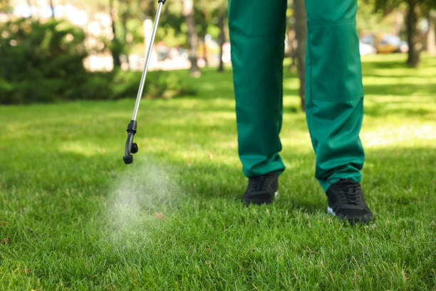 Best Residential Pest Control  in Brookhaven, MS