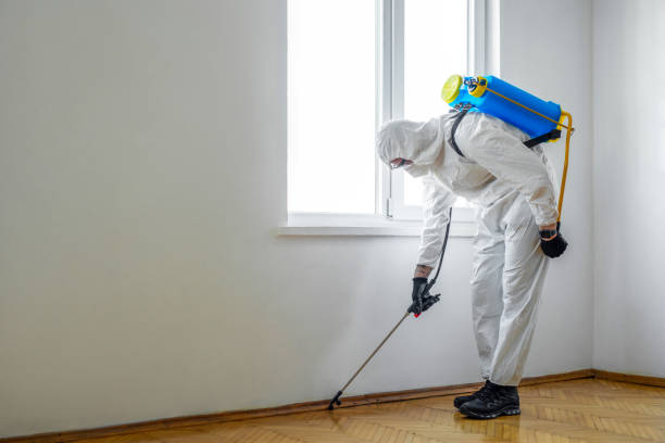 Best Termite Control Services  in Brookhaven, MS