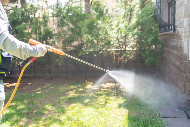 Best Rat Extermination Near Me  in Brookhaven, MS